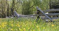 Fence_small